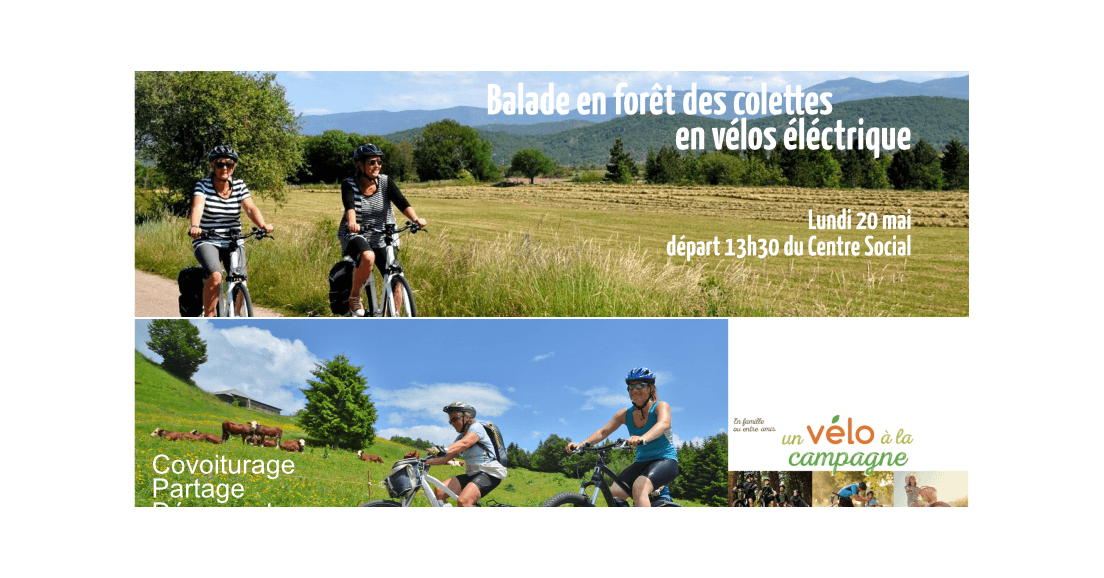 Balade en forêt des Colettes en vélos électrique