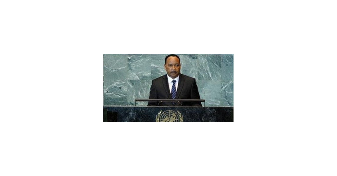 Place du Niger dans les instances internationales