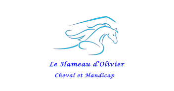 Le Hameau d'Olivier cheval et handicap vu du ciel.