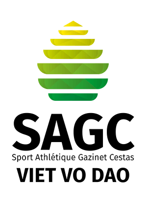 SAGC Viet Vo Dao - Arts Martiaux Vietnamiens