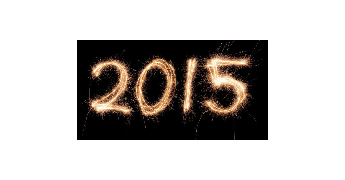 Vœux 2015 à la Gendarmerie