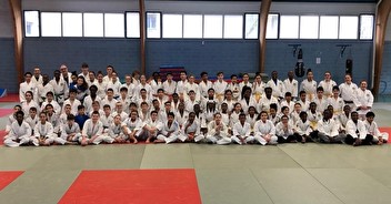 Judo au collège : rencontre inter-établissement