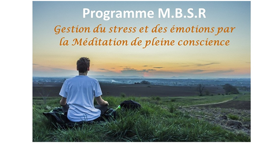 Nouveau programme M.B.S.R avec François Dargent (instructeur MBSR/IMA)