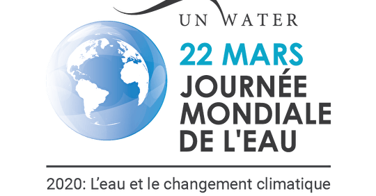 Journée mondiale de l'eau 2020 : l'eau et le climat (interview)