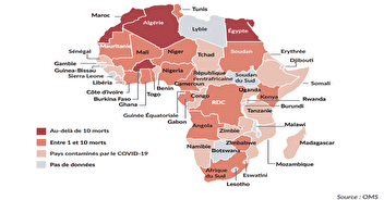 Le coronavirus, une opportunité pour l’Afrique ?